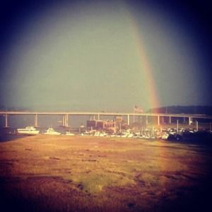 Meet your Posher, The Charleston Lady Boutique!